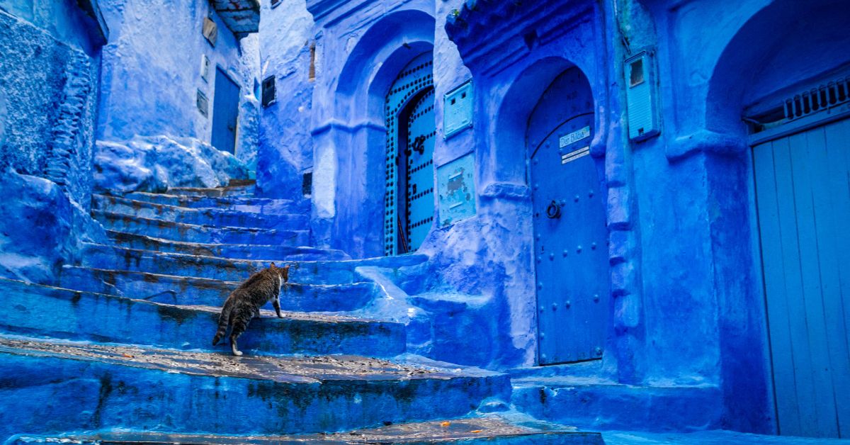 Blue Courtyard with cat on steps