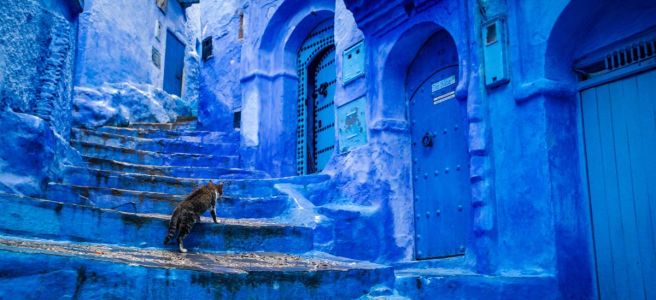 Blue Courtyard with cat on steps