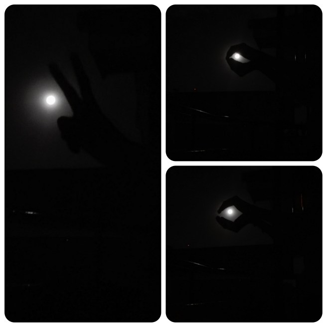 Full Moon Art Peace, Dove, Pearl in Oyster Hand model, Samia