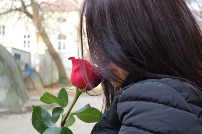 girl-with-red-rose-3006434_1920