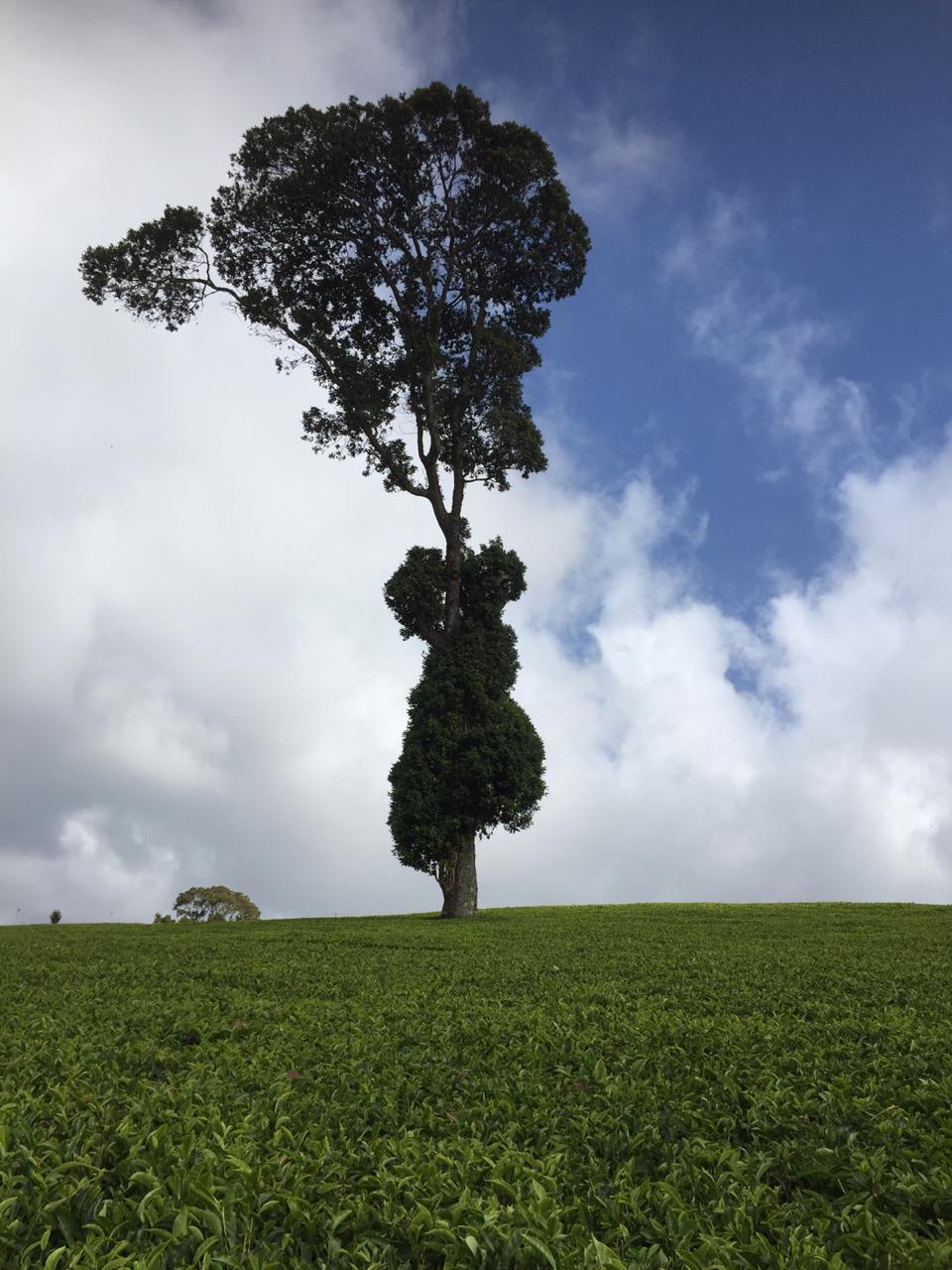 whatsapp-image-2019-02-10-at-14.48.26