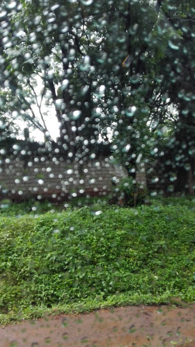 Memories of Nairobi Rain