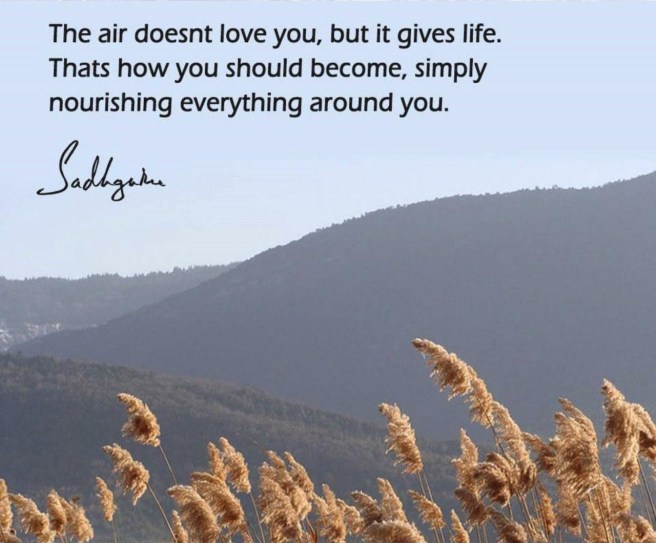 Sadhguru Quote Poetry by Sonya Kassam
