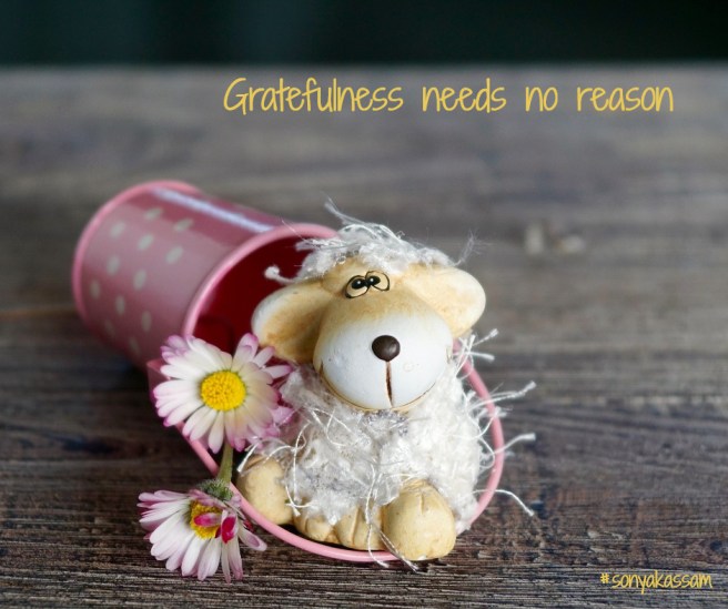 poetry by sonya kassam gratefulness