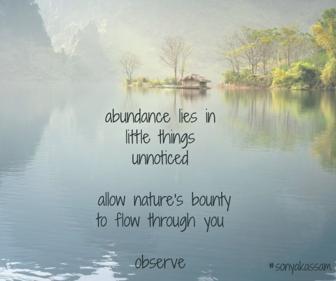 Poetry by Sonya Kassam Little Things